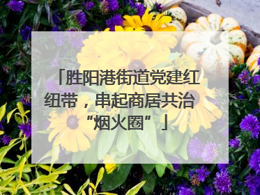 胜阳港街道党建红纽带，串起商居共治 “烟火圈”